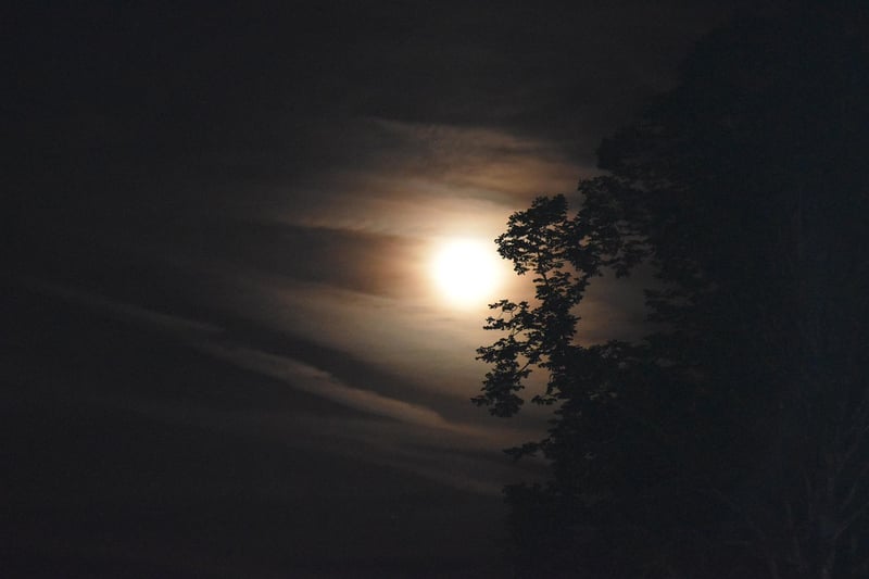 Moonlit Ambiance