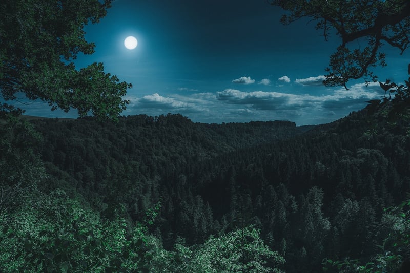 Moonlit Dance Floor